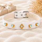 Multicolor Dog Collar DIY Kit
