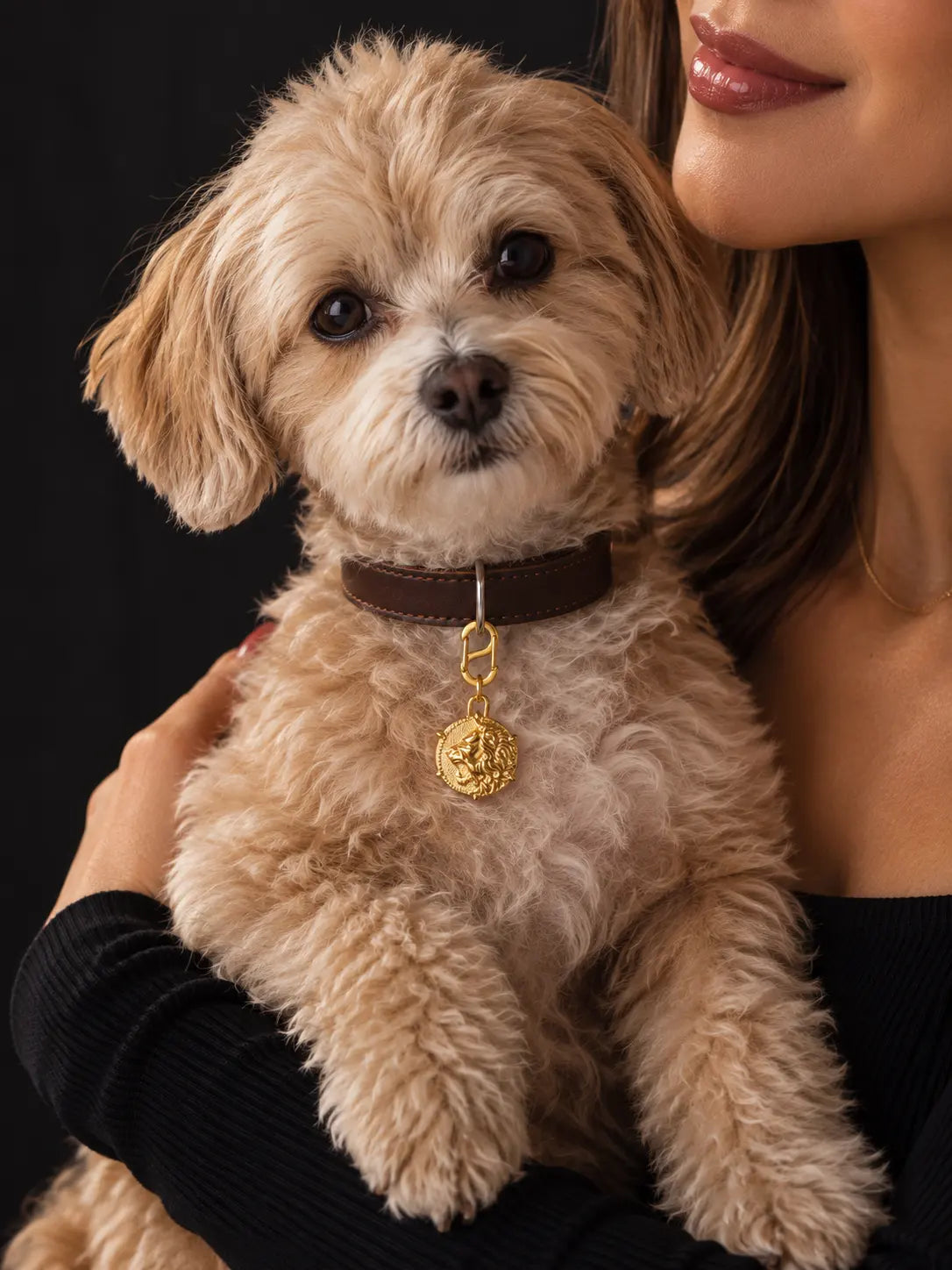 【PANSTUDIO】Vintage Badge Matching Jewelry Set for You & Your Dog