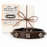 DIY Dog Collar Gift Kit -Make a Special Keepsake Collar For Your Pup