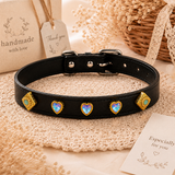 Multicolor Dog Collar DIY Kit