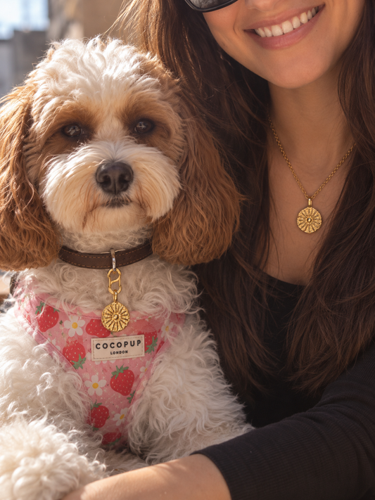 【 PANSTUDIO 】Vintage Badge Matching Jewelry Set