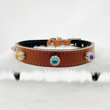 Multi-Color Basic Dog Collar DIY Material Kit 【Small to Medium Dogs】