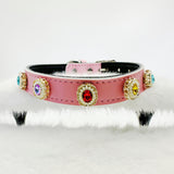 Multi-Color Basic Dog Collar DIY Material Kit 【Small to Medium Dogs】