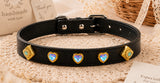 Multicolor Dog Collar DIY Kit