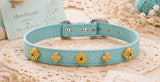 Multicolor Dog Collar DIY Kit