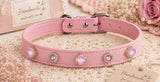 Multicolor Dog Collar DIY Kit