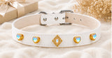 Multicolor Dog Collar DIY Kit