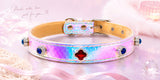 Multicolor Dog Collar DIY Kit