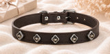 Multicolor Dog Collar DIY Kit